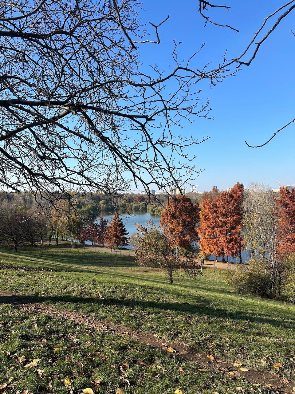 Tineretului Park View